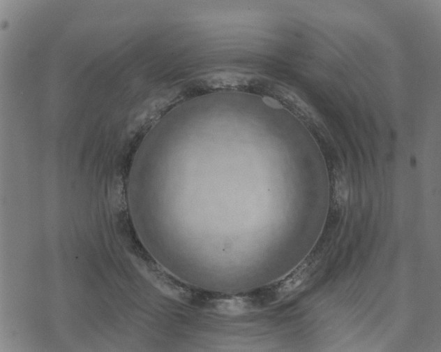 X0000074940411200609081356