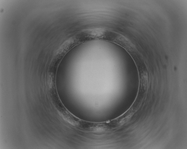 X0000074940412200609081356