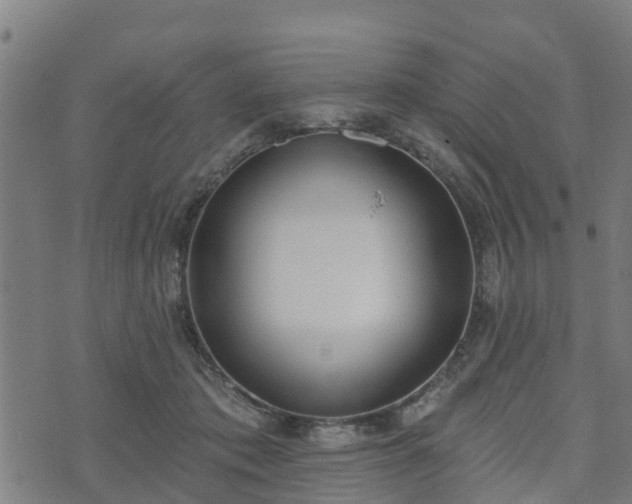 X0000074940413200609081356