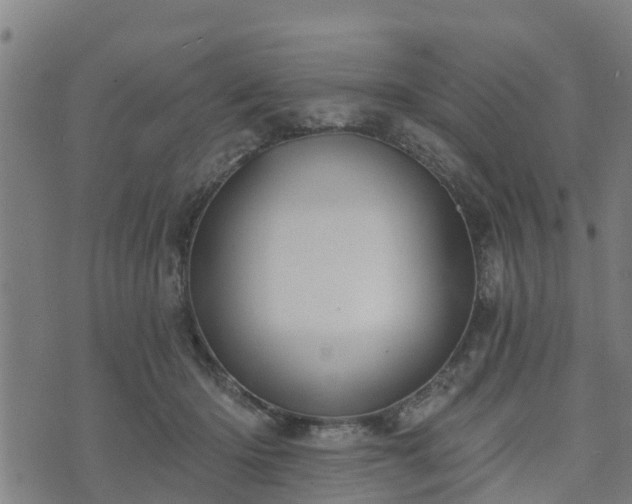 X0000074940414200609081356