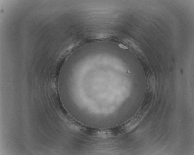 X0000074940415200609081356