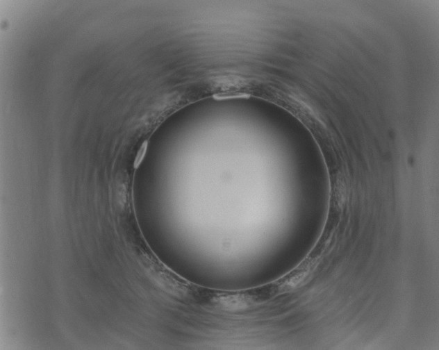 X0000074940417200609081356