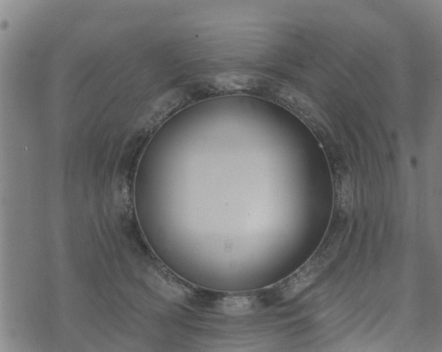 X0000074940418200609081356