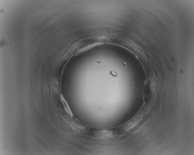 X0000074940421200609081356