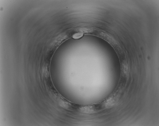 X0000074940422200609081356