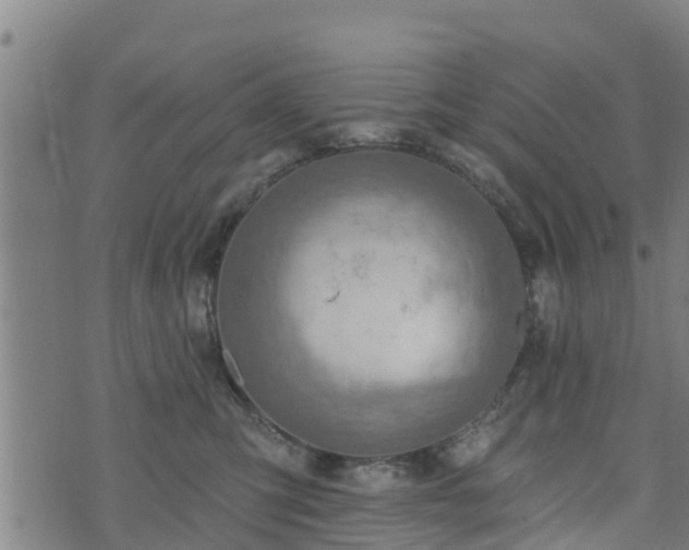 X0000074940423200609081356