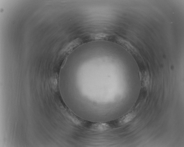 X0000074940427200609081355