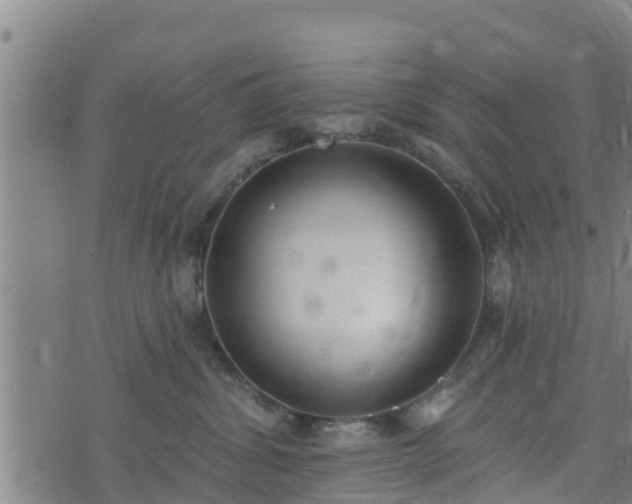 X0000074940428200609081355