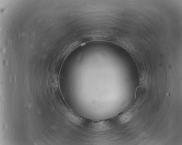 X0000074940430200609081355