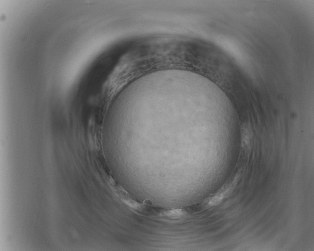 X0000074940431200609081355