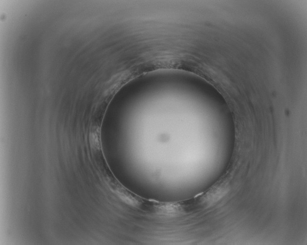 X0000074940432200609081355