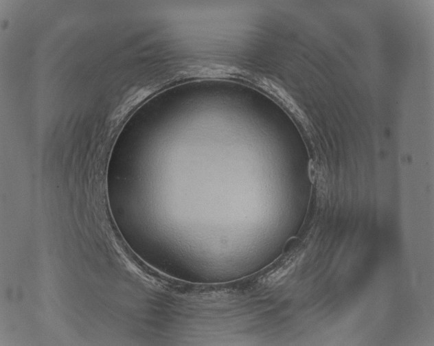 X0000074940433200609081355