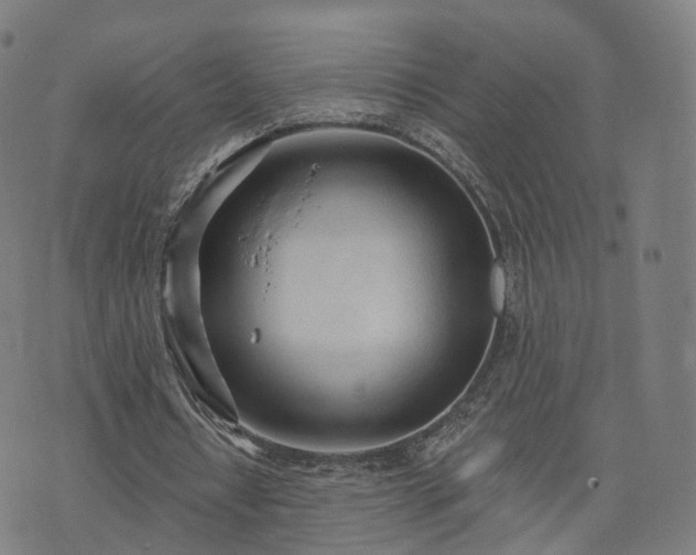 X0000074940434200609081355