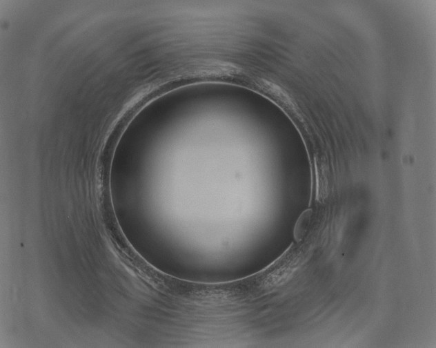 X0000074940435200609081355