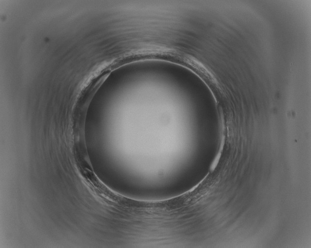 X0000074940436200609081355