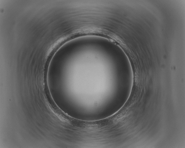 X0000074940438200609081355