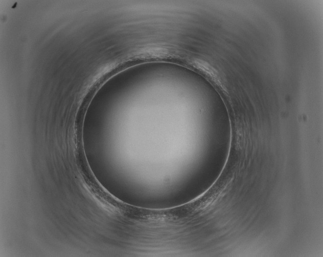 X0000074940439200609081355