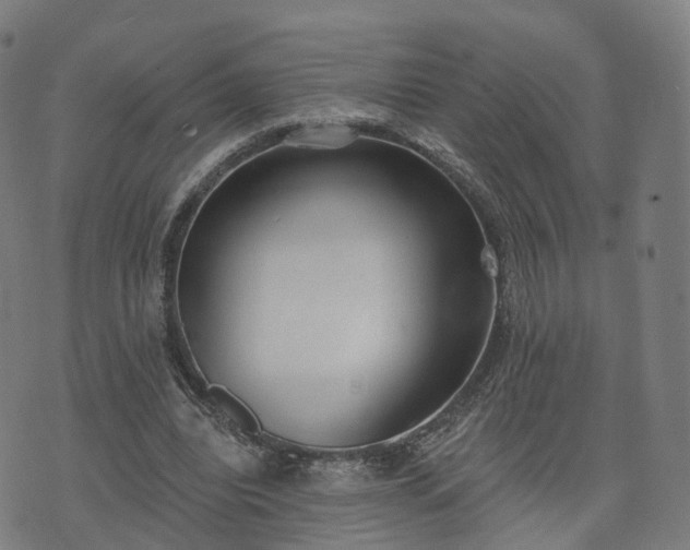 X0000074940440200609081355