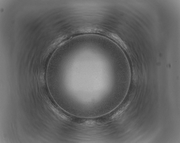 X0000074940441200609081355