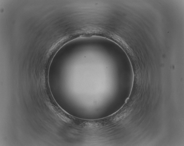 X0000074940442200609081355