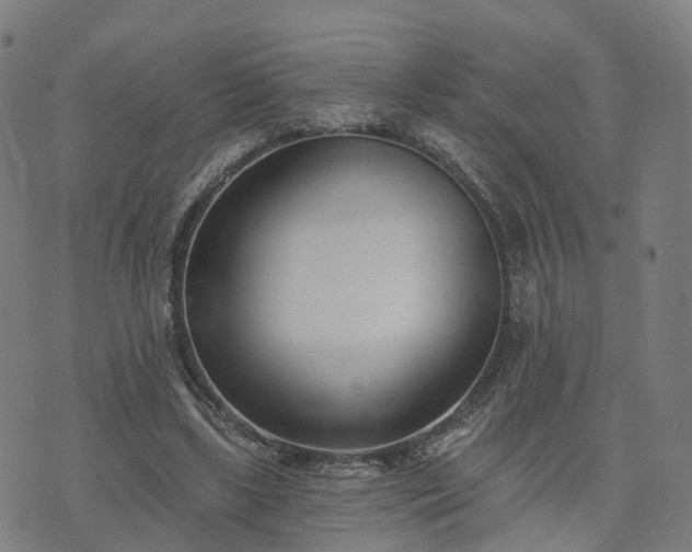 X0000074940443200609081355