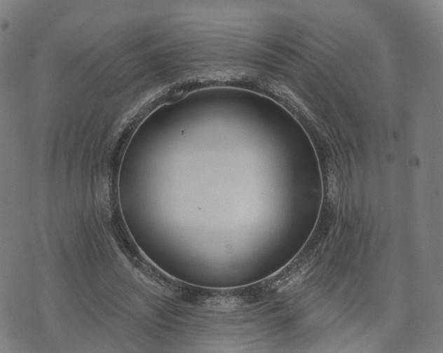 X0000074940444200609081355