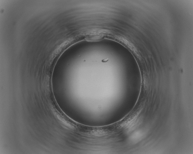 X0000074940445200609081355