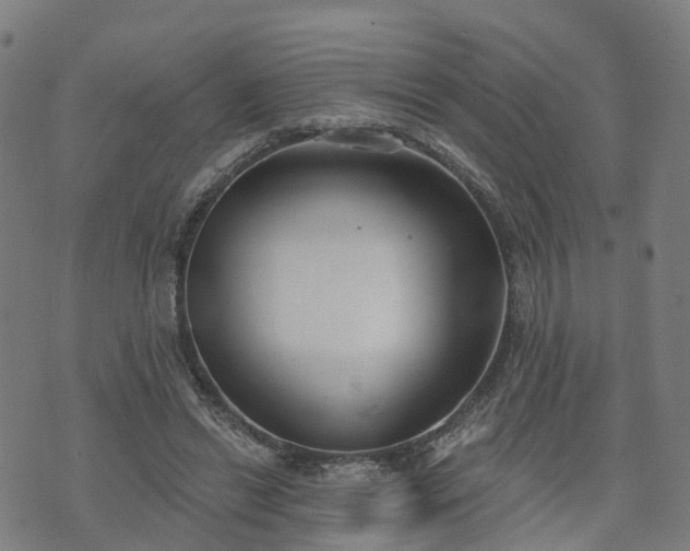 X0000074940446200609081355