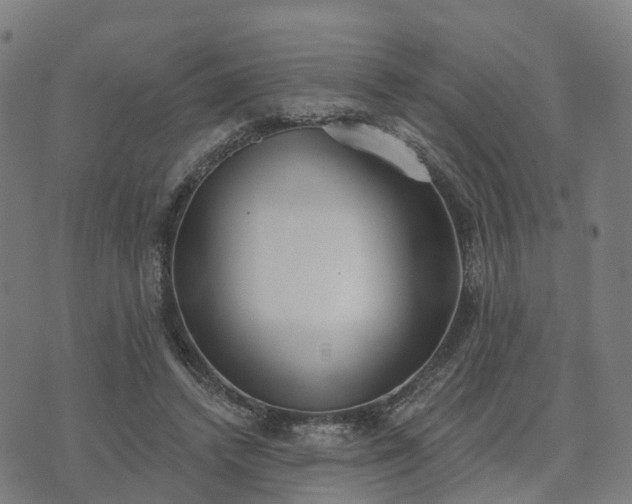 X0000074940448200609081355