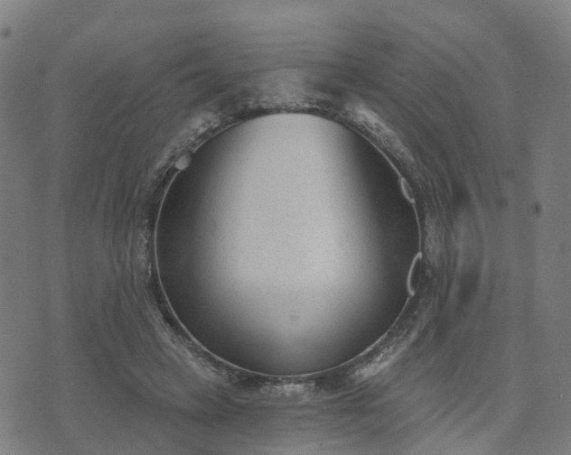 X0000074940449200609081355