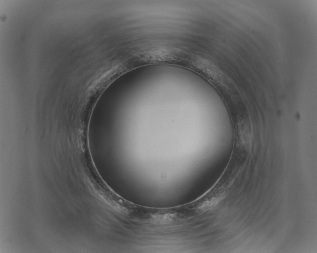 X0000074940450200609081355