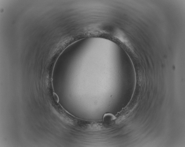 X0000074940451200609081355