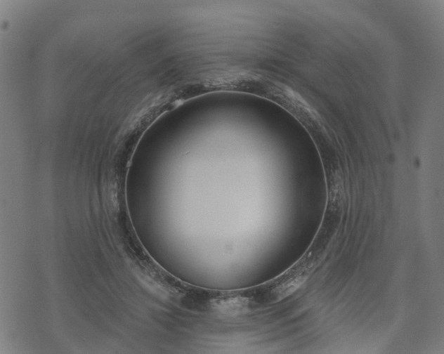 X0000074940452200609081355