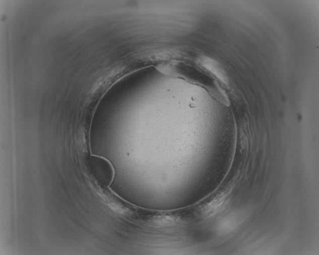 X0000074940453200609081355