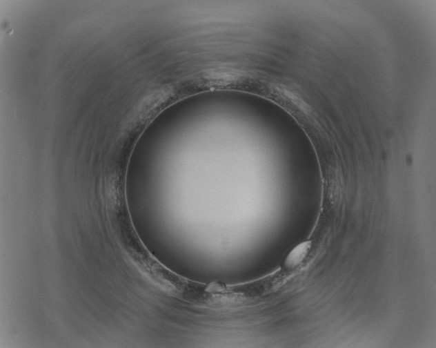 X0000074940455200609081355