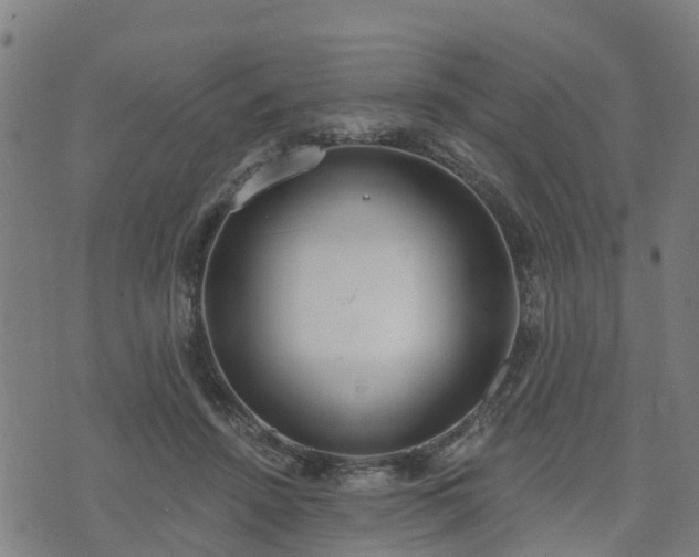 X0000074940456200609081355