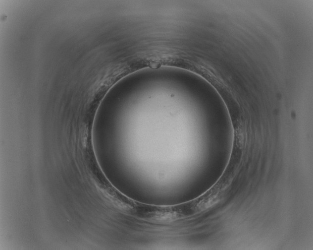 X0000074940458200609081355