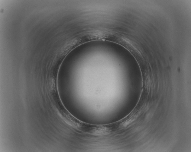 X0000074940459200609081355