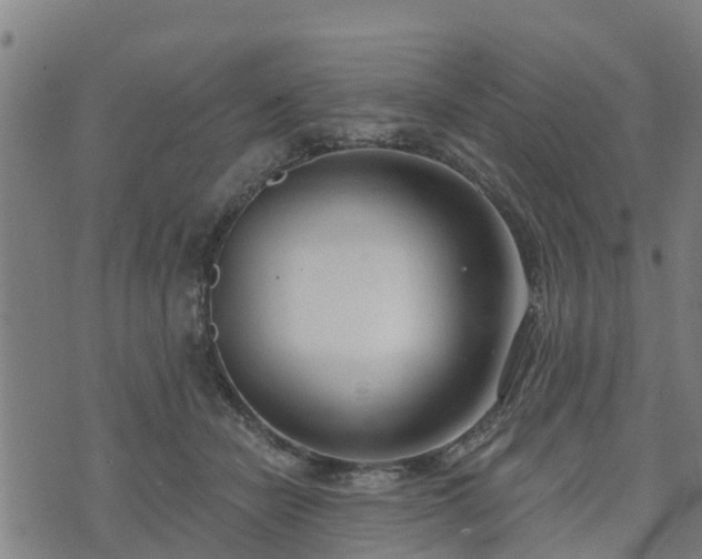 X0000074940462200609081355