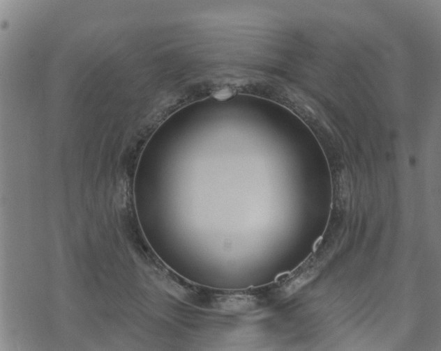 X0000074940463200609081355