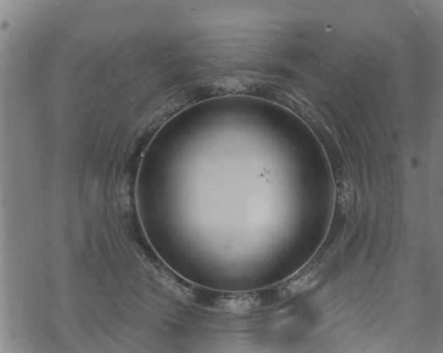 X0000074940466200609081355