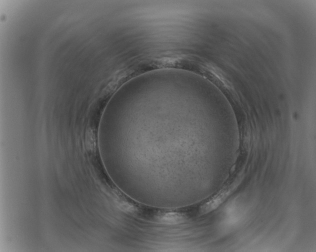 X0000074940467200609081355