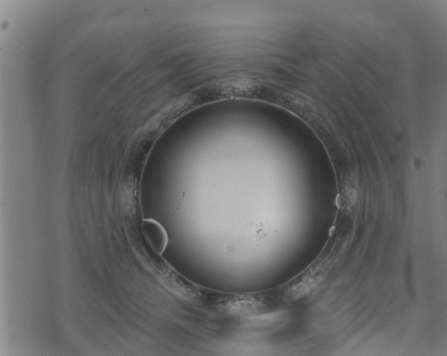 X0000074940468200609081355