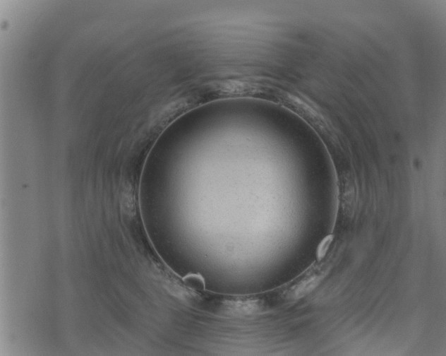 X0000074940469200609081355