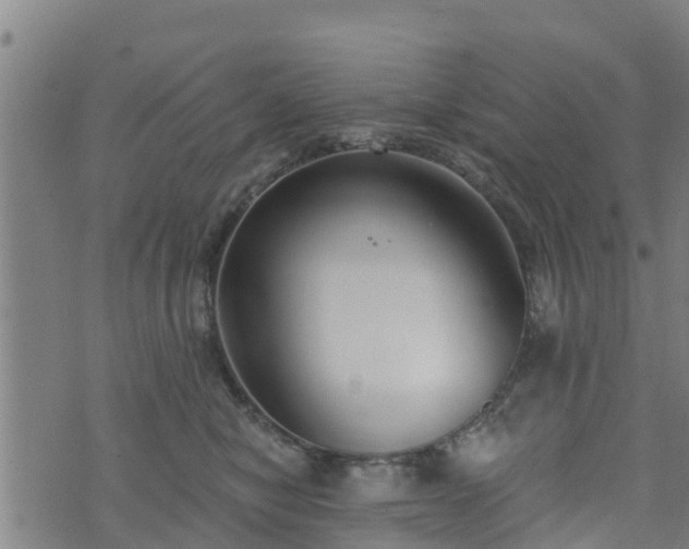 X0000074940470200609081355