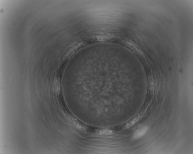 X0000074940471200609081355