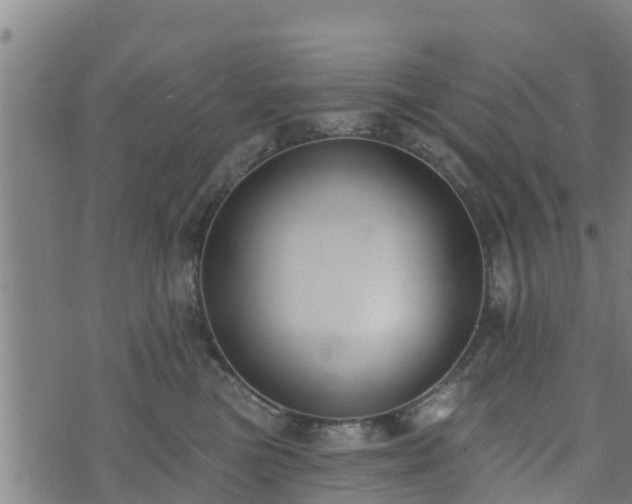 X0000074940473200609081355