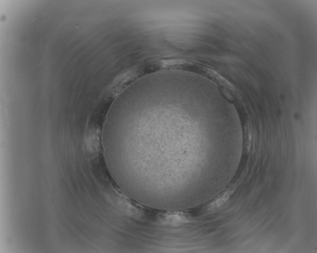 X0000074940475200609081355