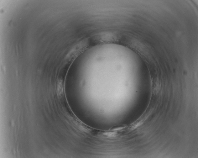 X0000074940478200609081355