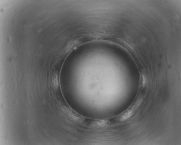 X0000074940479200609081355